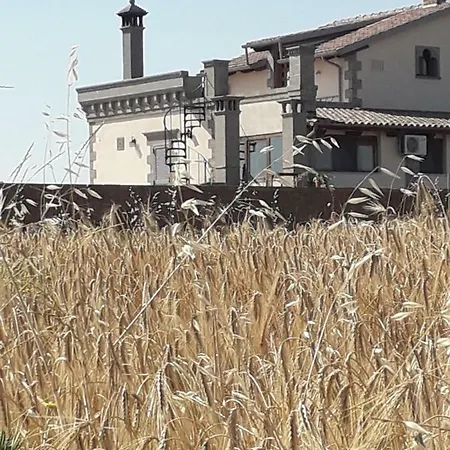 La Casetta Di Danilo Piansano
